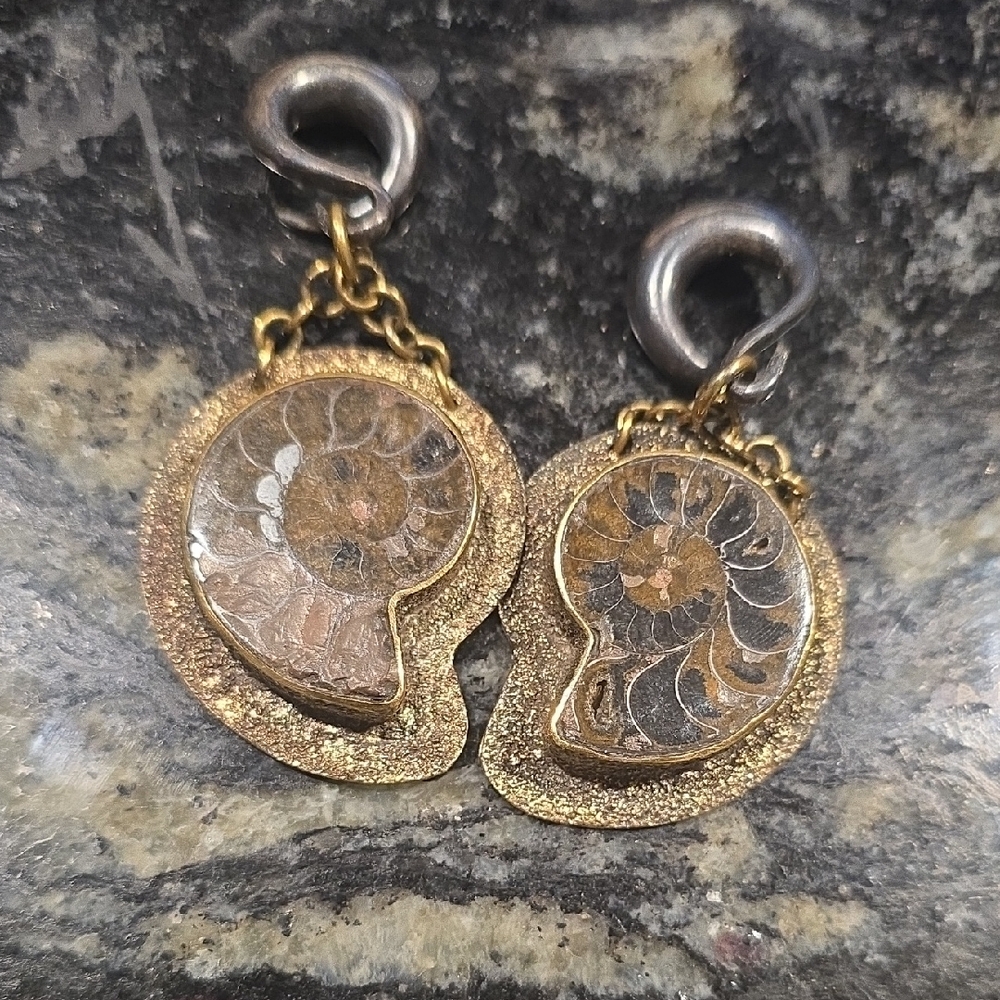 Gold and Brown Ammonite Earrings